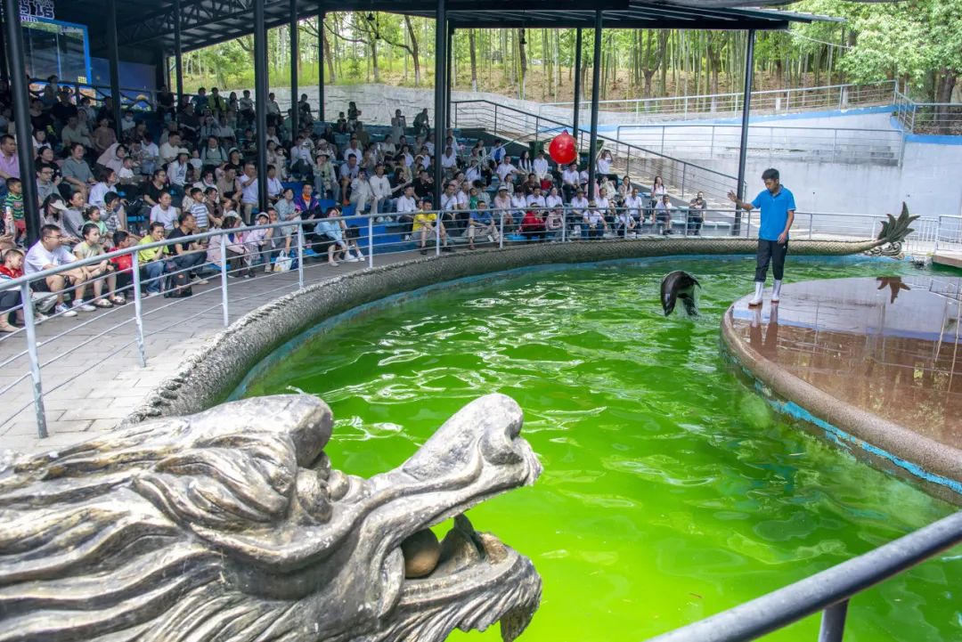 熱辣滾燙 揚帆未來——巨人集團公司團建之旅 熱辣滾燙 揚帆未來——巨人集團公司團建之旅