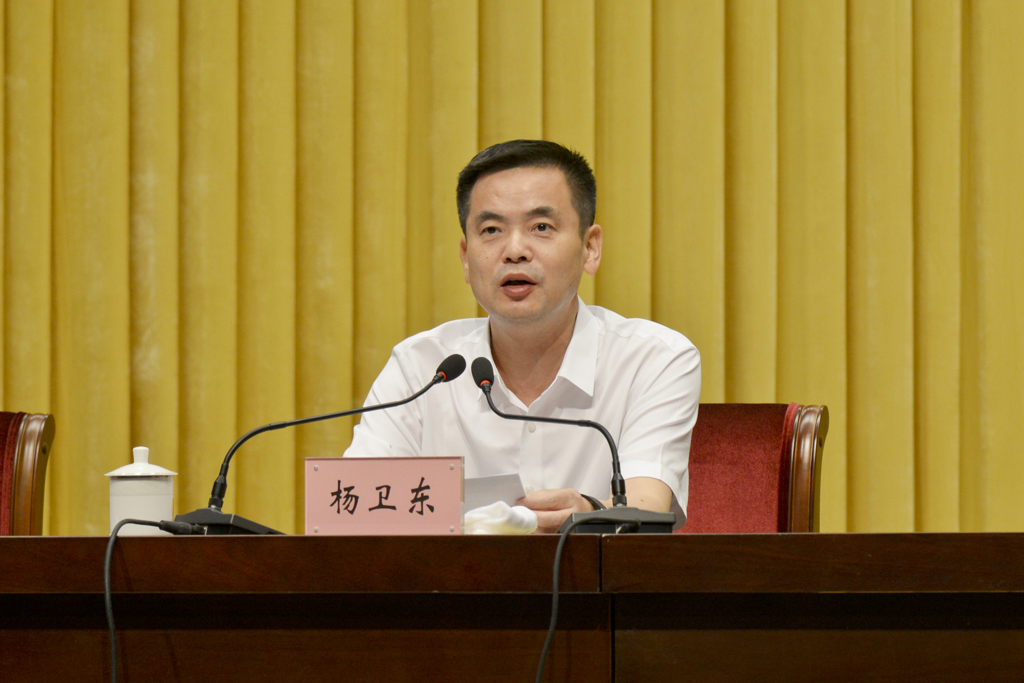 ▲區委書記楊衛東致詞